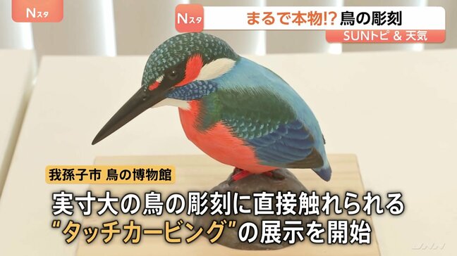 実物大の鳥の彫刻を直接触れる“タッチカービング” 「多くの鳥を触って目の見えない人に記憶してもらいたい」【SUNトピ】|TBS NEWS DIG