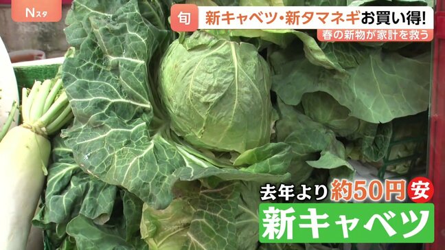 家計の救世主？いま旬の「新物野菜」が安くてうまい！新ジャガイモに…新タマネギも　オススメは新キャベツ 甘味が強くシャキシャキ|TBS NEWS DIG