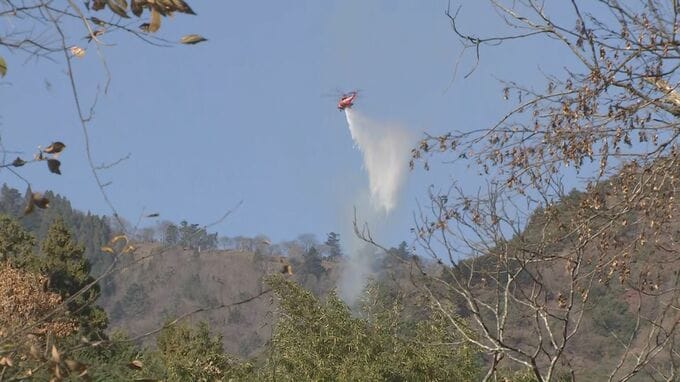 【速報】神奈川県・日向山の山火事　神奈川県が自衛隊に災害派遣要請　「さらなる消火能力が必要」消防ヘリによる消火活動も延焼続く|TBS NEWS DIG