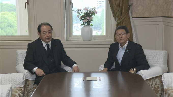 マイナンバー問題で「閉会中審査」来月5日開催　自民・立民が合意