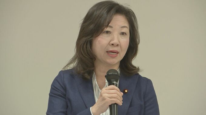 野田聖子元総務大臣が浜田国対委員長から厳重注意　「共同親権」で党の方針に反対|TBS NEWS DIG