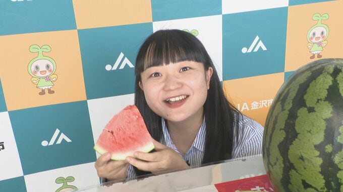 「甘い!夏の味がします」 大玉の金沢すいかが初出荷　|　石川県のニュース｜MRO北陸放送