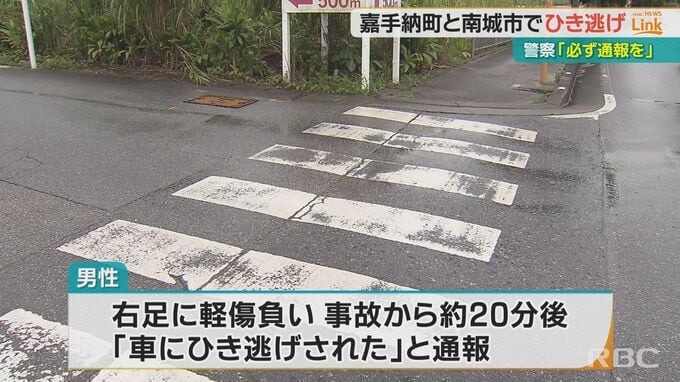 県内でひき逃げ事件が相次ぐ　8歳の女の子と24歳男性が被害に　横断歩道を渡る途中で事故発生　|TBS NEWS DIG