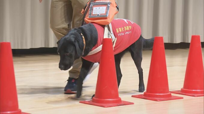 盲導犬について理解を深めるイベント　福島・白河市　|　福島のニュース│TUF
