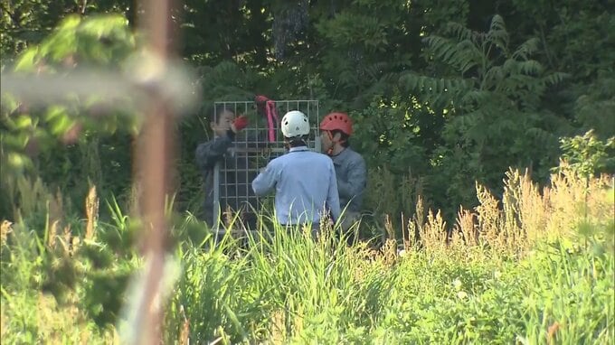 市街地の小学校近くの林にクマ居座る　市が箱わなを設置して捕獲　福島・喜多方市|TBS NEWS DIG