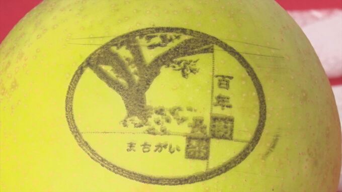 敬老の日を前に　「長樹（寿）まちがい梨」販売　島根・安来市　|　BSSニュース | BSS山陰放送