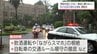 21日スタート「秋の全国交通安全運動」を前に　宮崎県庁で開始式　|　MRTニュース ｜ ＭＲＴ宮崎放送