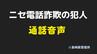 【犯人の音声公開】「にしかれ？」警視庁捜査二課名乗る"ニセ電話詐欺"　「西彼杵」読めず　|　長崎のニュース | 天気 | NBC長崎放送