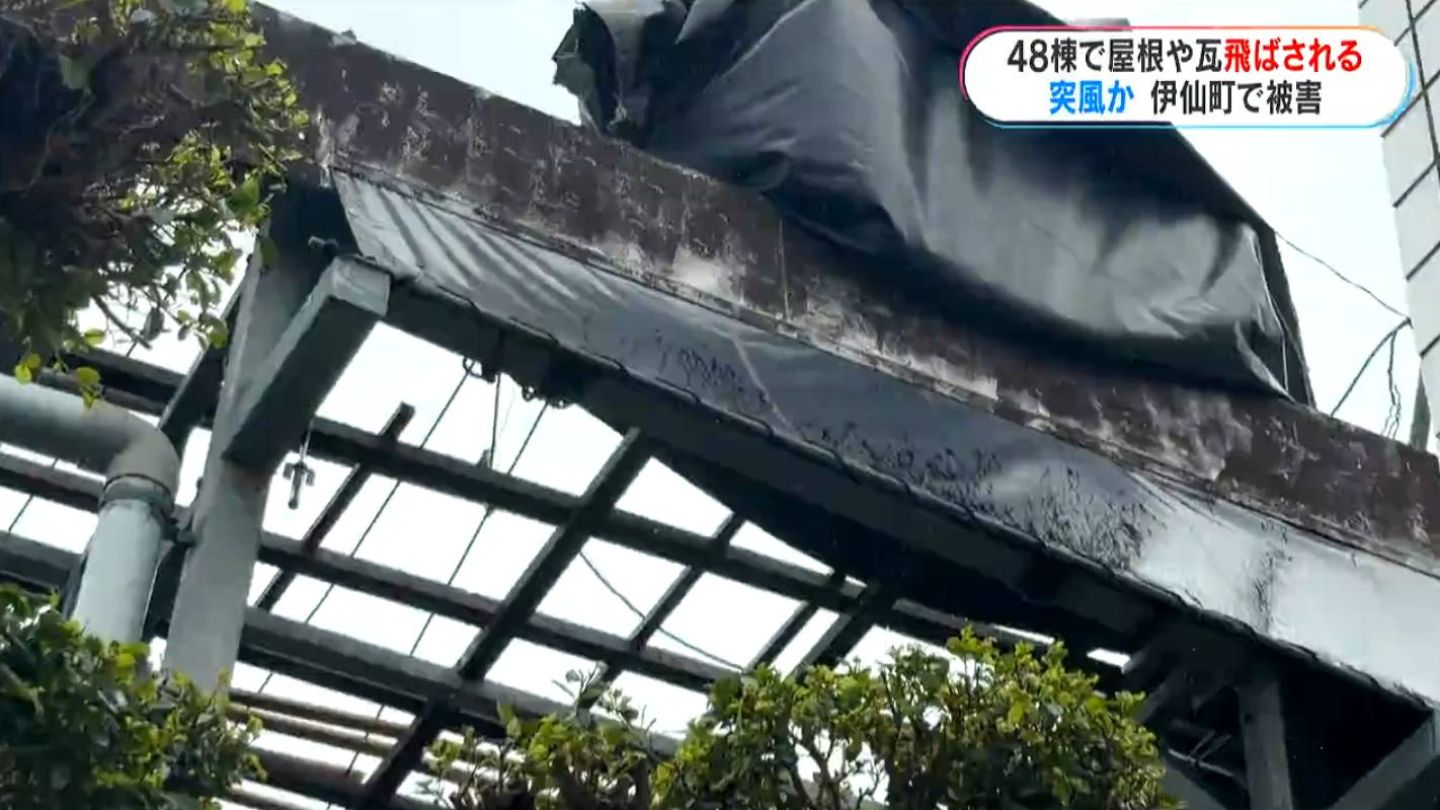 台風でも動いたことがない」伊仙町で突風被害 最大瞬間風速22.3