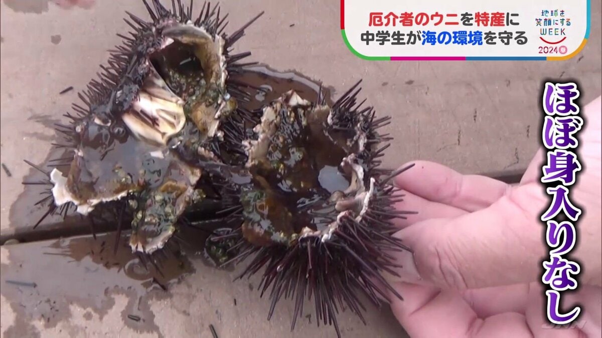 img_0749a59886173e1f465d6f4982