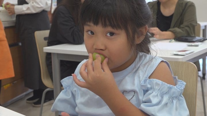 小学生の親子が旬のブドウを食べ比べ　「味の違いもあっておいしかった」　ブドウの魅力を学ぶ　山梨・中央市