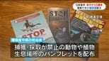 希少種持ち出さないで 奄美空港でキャンペーン 鹿児島|TBS NEWS DIG