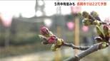 南よりの風が吹き20℃超と5月中旬並みの予想　桜もそろそろ？ “日本三大夜桜”高田城址公園の観桜会は3日(金)から　新潟・上越市|TBS NEWS DIG