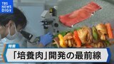 食の未来を救う「培養肉」とは 2040年には食肉消費の35%を占める?【Bizスクエア】|TBS NEWS DIG
