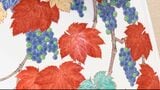 有田焼の十五代酒井田柿右衛門さんの個展　乳白色の素地に葡萄や椿などが鮮やかに絵付け【香川】　|　岡山・香川のニュース | 天気 | RSK山陽放送