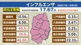 岩手県内で平均の患者数が注意報の基準値である10人超える　県内にインフルエンザ流行注意報発表|TBS NEWS DIG