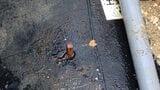 【速報】導水管の漏水を止めたのは、まさかの“木栓で” 25日に鉄板を溶接する本格修繕作業へ | 沖縄のニュース|RBC 琉球放送