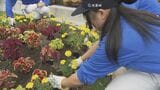 高校生が「映える花壇」で田布施町をPR　ケーキをイメージ　山口　|　山口のニュース・天気・防災｜tys NEWS｜ｔｙｓテレビ山口