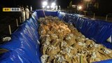 三沢市で発生の高病原性鳥インフルエンザ約120万羽・9割の処分完了(27日正午現在)|TBS NEWS DIG
