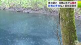世界自然遺産「白神山地」にも春の訪れ　『白神十二湖』が山開き　神秘的なコバルトブルーの『青池』は…　|　青森のニュース│ATV NEWS│青森テレビ
