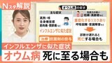 「オウム病」死に至る場合も 免疫力が低い妊婦、高齢者は重症化リスク 感染予防対策は?【Nスタ解説】|TBS NEWS DIG
