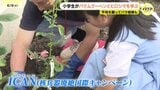 「みんなでバラ園を育てて、平和な場所に」小学生がバラを植樹　「バウムクーヘンとヒロシマ」の講演も聞く　|　RCC NEWS | 広島ニュース | RCC中国放送