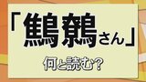 難読名字「鷦鷯さん」何と読む？　専門家もうなる山陰の珍名字の謎　|　BSSニュース | BSS山陰放送