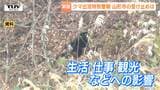 広域か、地域限定か…新設「クマ出没特別警報」現場はどう受け止める?県との"食い違い"や観光業への影響など懸念の声も(山形) | 山形のニュース│TUYテレビユー山形