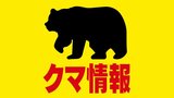 【クマ情報】 北海道南部の木古内町の市街地でパトロール中の警察官がクマ目撃 付近には新幹線の駅や中学校、病院 警察や役場が警戒を呼びかけ|TBS NEWS DIG