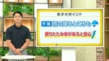 高知の天気　16日　午後から天気が崩れる所も　山岸拓気象予報士が解説|TBS NEWS DIG