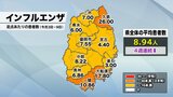 岩手県内のインフルエンザ患者数平均、4週連続で前週下回る|TBS NEWS DIG