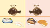 カレイとヒラメ、おすすめ調理法は正反対!‟年取り魚”のナメタガレイ【市場で旬みっけ!】|TBS NEWS DIG