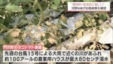 台風15号による被害現場 河野宮崎県知事が現地で状況確認 | MRTニュース | MRT宮崎放送