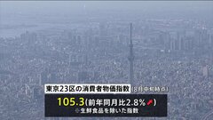 【速報】東京23区の消費者物価指数 8月中旬速報値で2.8％上昇…上昇幅は2か月連続縮小もインバウンド効果などで宿泊料などサービス物価上昇　約29年ぶりの水準に| TBS CROSS DIG with Bloomberg