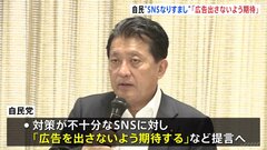 SNSなりすまし詐欺　自民党「広告出さないよう期待」提言へ　来週にもまとめる方針| TBS CROSS DIG with Bloomberg