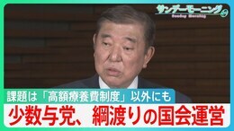 課題は「高額療養費制度」対応のみならず…少数与党、綱渡りの国会運営【サンデーモーニング】|TBS NEWS DIG