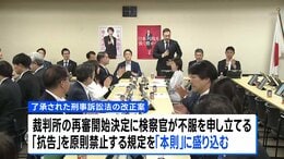 再審制見直しの刑事訴訟法改正案を了承　自民党の合同部会　「本則」に検察官抗告「原則禁止」盛り込む&nbsp;&nbsp;あす閣議決定へ|TBS NEWS DIG