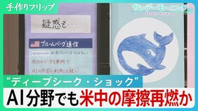 AI業界に“ディープシーク・ショック” AI分野でも米中の摩擦再燃か ディープシークによる回答は【サンデーモーニング】|TBS NEWS DIG
