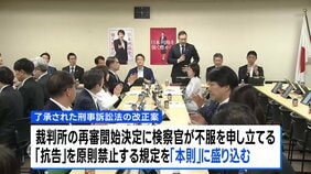 再審制見直しの刑事訴訟法改正案を了承　自民党の合同部会　「本則」に検察官抗告「原則禁止」盛り込む  あす閣議決定へ|TBS NEWS DIG
