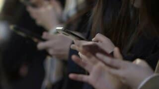 フィルターバブルを増幅させる3つの要因　心地よさに潜むウェルビーイングの落とし穴| TBS CROSS DIG with Bloomberg