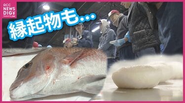 魚 ＠ 次回発送 1/6〜 値上げの冬】出世魚が1.8倍・正月の餅は3倍 「良い魚がそろわない