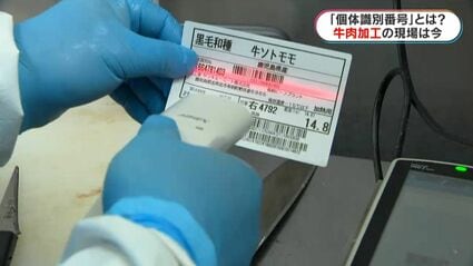 尋牛 ページ 県外からの注文減った」憤る同業者も 水迫畜産の「牛肉の不適正表示