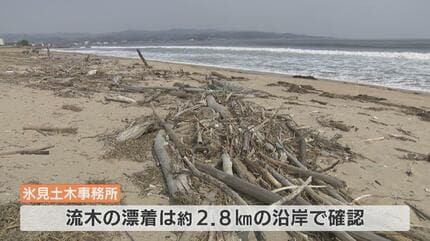 予算が足りず進められない！海岸を覆う漂着物 沿岸2.8㎞に流木やロープ 