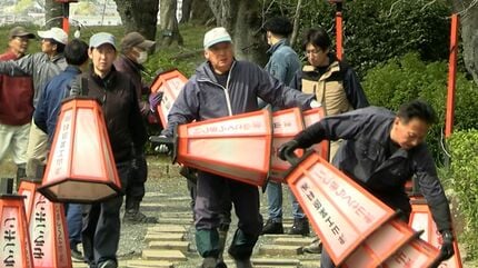 約1000本の桜が咲き誇る「津山さくらまつり」に向け “ぼんぼり” の