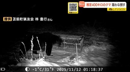 ヒグマ出没】「簡単にわなに入ってくれるクマじゃない」推定400キロ