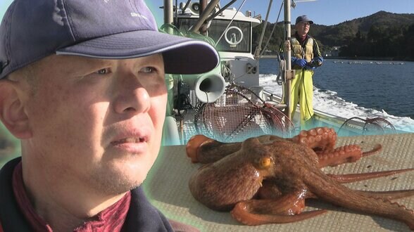 東日本大震災と2月の大規模山林火災で二度被災しながらもなりわい再生に向け試練と向き合う漁師たち　岩手・大船渡市　|　IBC NEWS | IBC岩手放送