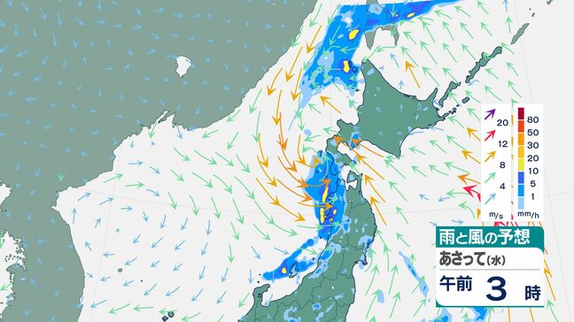 【台風最新情報】台風5号 雨と風の予想(14日午前3時~15日午後3時)|TBS NEWS DIG