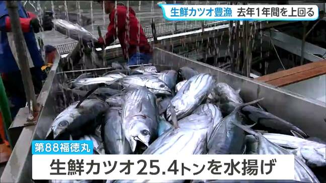 気仙沼港でカツオ豊漁！去年の水揚げ量をひと月足らずで上回る　宮城|TBS NEWS DIG