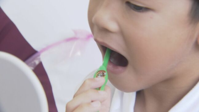 小学１年生が正しい歯みがき学ぶ「虫歯を作らないようにみがきたい」　山口・下松　|TBS NEWS DIG