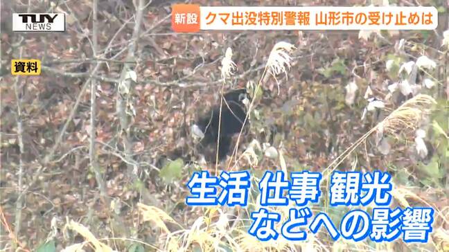 広域か、地域限定か…新設「クマ出没特別警報」現場はどう受け止める？県との"食い違い"や観光業への影響など懸念の声も（山形）|TBS NEWS DIG
